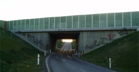 Bild vergrößern